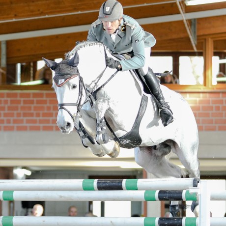 Diarado stallone Holstein figlio Contendro Argentinus salto ostacoli Equine Evolution stalloni tedeschi