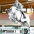 Diarado Holstein Conendro Argentinus stallone da monta salto Hannover Equine Evolution