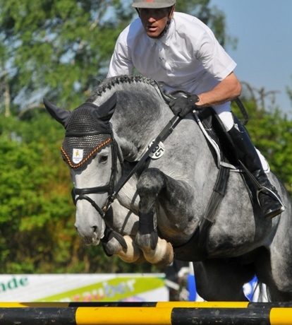 Diarado stallone Holstein figlio Contendro Argentinus salto ostacoli Equine Evolution stalloni tedeschi