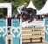 Diarado Diamant Semilly stallone da monta salto Hannover Equine Evolution