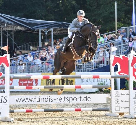 Diarado stallone Holstein figlio Contendro Argentinus salto ostacoli Equine Evolution stalloni tedeschi