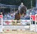 Diarado Diamant Semilly stallone da monta salto Hannover Equine Evolution