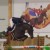 Forlee da Chacco Blue stallone salto ostacoli dalla Germania Equine Evolution