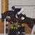 Forlee da Chacco Blue stallone salto ostacoli dalla Germania Equine Evolution