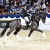 stallone dressage KWPN Goldberg da Jazz Equine Evolution