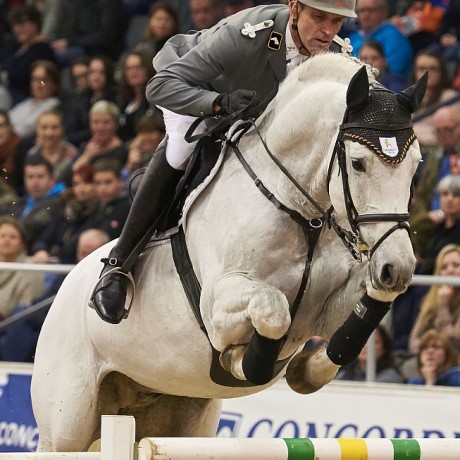 Grey Top da Graf Top stallone da monta salto ostacoli Hannover Equine Evolution