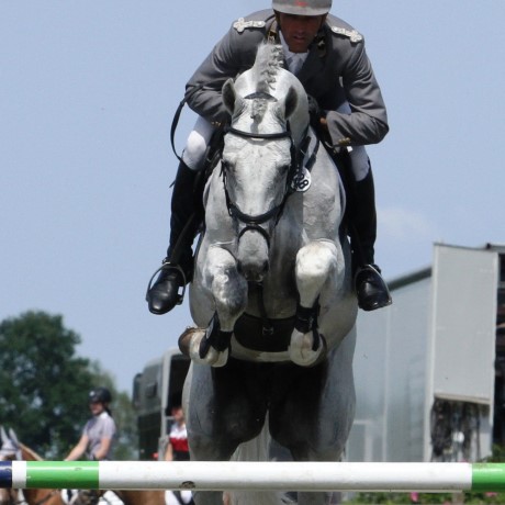 Grey Top da Graf Top stallone da monta salto ostacoli Hannover Equine Evolution