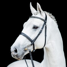 Grey Top da Graf Top x Singular Joter stallone da monta salto ostacoli Hannover Equine Evolution