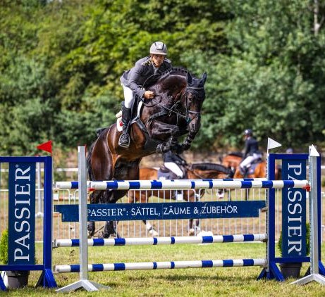 stallone Khedira da Kannan e Darco sella francese da salto ostacoli, Equine Evolution stalloni tedeschi