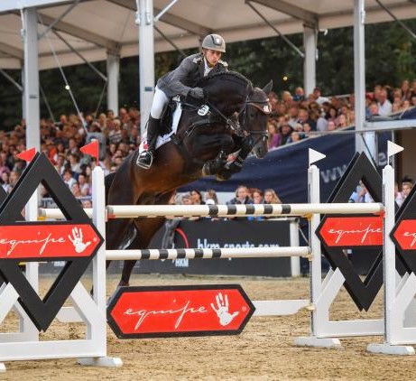 stallone Khedira da Kannan e Darco sella francese da salto ostacoli, Equine Evolution stalloni tedeschi