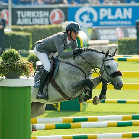 stallone sella francese Diamant de Semilly e Nabab de Reve salto ostacoli da monta Equine Evolution stalloni tedeschi