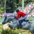 Diamant de Semilly x Nabab de Reve stallone da monta salto ostacoli sella francese BWP Equine Evolution