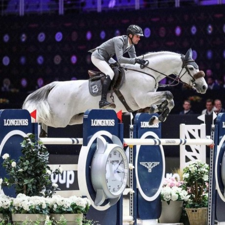 stallone sella francese Diamant de Semilly e Nabab de Reve salto ostacoli da monta Equine Evolution stalloni tedeschi