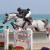 Diamant de Semilly x Nabab de Reve stallone da monta salto ostacoli sella francese BWP Equine Evolution