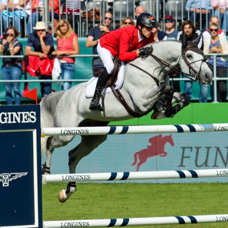 stallone sella francese Diamant de Semilly e Nabab de Reve salto ostacoli da monta Equine Evolution stalloni tedeschi