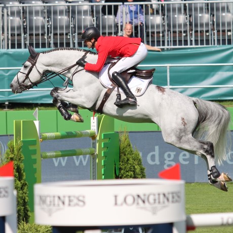 stallone sella francese Diamant de Semilly e Nabab de Reve salto ostacoli da monta Equine Evolution stalloni tedeschi