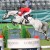 Diamant de Semilly x Nabab de Reve stallone da monta salto ostacoli sella francese BWP Equine Evolution