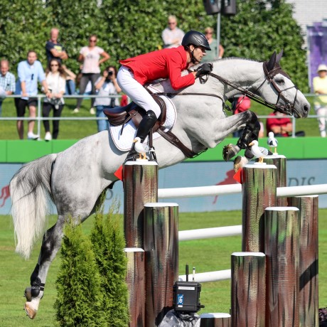 stallone sella francese Diamant de Semilly e Nabab de Reve salto ostacoli da monta Equine Evolution stalloni tedeschi