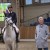 Diamant de Semilly x Nabab de Reve stallone da monta salto ostacoli sella francese BWP Equine Evolution