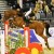 Perigueux Stakkato Stolzenberg stallone salto ostacoli dalla Germania Equine Evolution