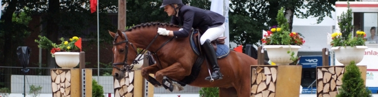 pony da sport vendita dalla Germania Equine Evolution