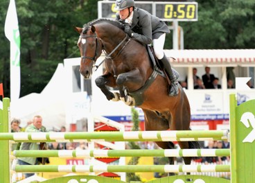 cavallo da salto ostacoli Hannover Holstein vendita Equine Evolution