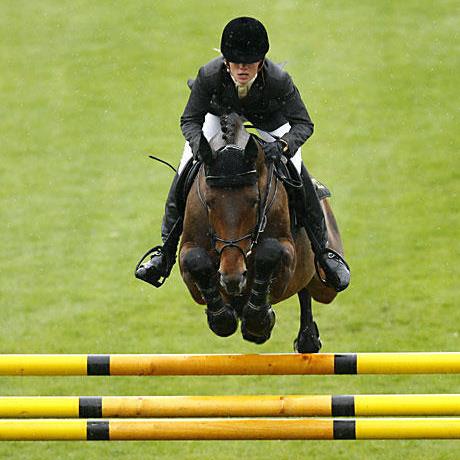 Stakkato stallone da monta salto ostacoli Hannover Equine Evolution