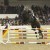 Voltaire stallone da monta salto ostacoli Hannover Equine Evolution