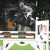 Voltaire stallone da monta salto ostacoli Hannover Equine Evolution
