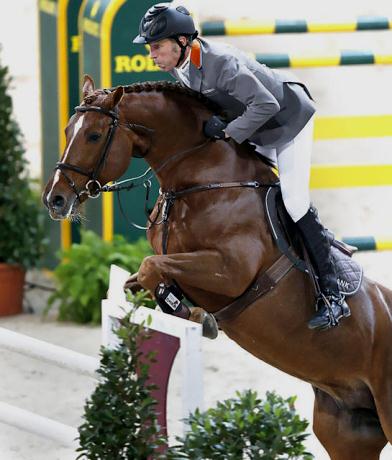 stallone KWPN Zinedine da Guidam Quidam de Revel di Ludger Beerbaum salto ostacoli Equine Evolution stalloni tedeschi