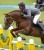 Zinedine stallone da monta salto KWPN da Guidam - Quidam de Revel di Ludger Beerbaum Equine Evolution