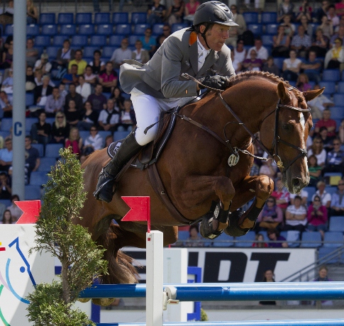 stallone KWPN Zinedine da Guidam Quidam de Revel di Ludger Beerbaum salto ostacoli Equine Evolution stalloni tedeschi