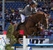 Zinedine stallone da monta salto KWPN da Guidam - Quidam de Revel di Ludger Beerbaum Equine Evolution