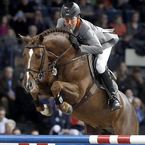 stallone KWPN Zinedine da Guidam Quidam de Revel di Ludger Beerbaum salto ostacoli Equine Evolution stalloni tedeschi