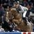 Zinedine stallone da monta salto KWPN da Guidam - Quidam de Revel di Ludger Beerbaum Equine Evolution