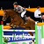 Zinedine stallone da monta salto KWPN da Guidam - Quidam de Revel di Ludger Beerbaum Equine Evolution