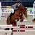 Zinedine stallone da monta salto KWPN da Guidam - Quidam de Revel di Ludger Beerbaum Equine Evolution