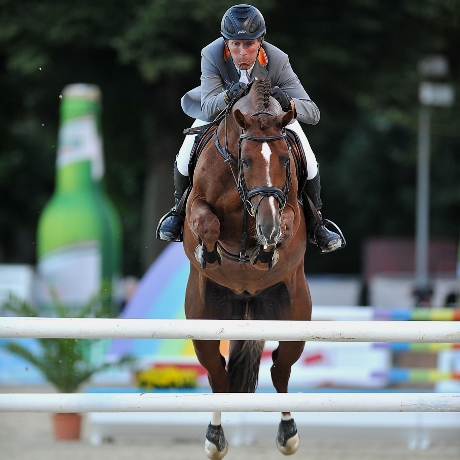 stallone KWPN Zinedine da Guidam Quidam de Revel di Ludger Beerbaum salto ostacoli Equine Evolution stalloni tedeschi