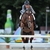 Zinedine stallone da monta salto KWPN da Guidam - Quidam de Revel di Ludger Beerbaum Equine Evolution