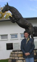 stallone da monta salto dressage Holstein Hannover