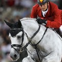 stallone da monta salto dressage Holstein Hannover