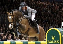 stalloni da monta salto Holstein dressage Hannover Germania